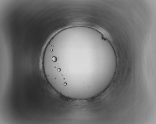 X0000102290912200808081520