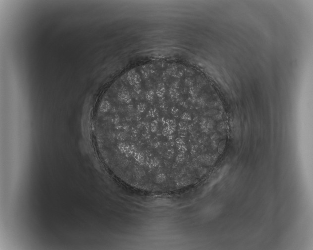 X0000102290913200808081519