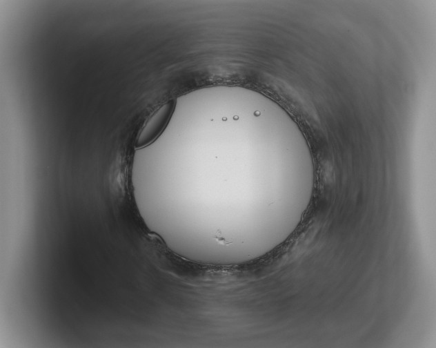 X0000102290914200808081519