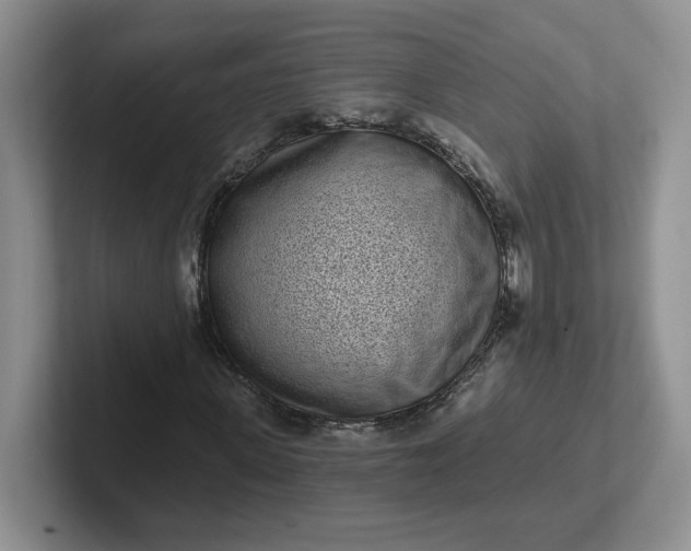 X0000102290915200808081519