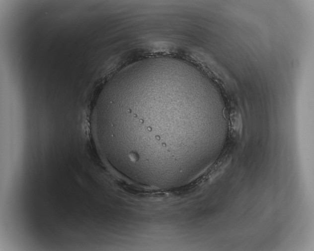 X0000102290916200808081519