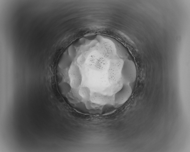 X0000102290917200808081520