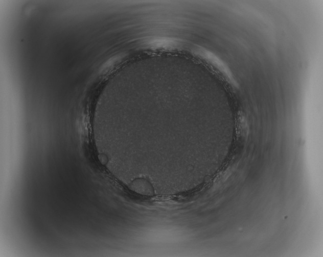 X0000102290918200808081520