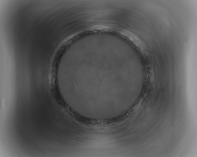 X0000102290920200808081520