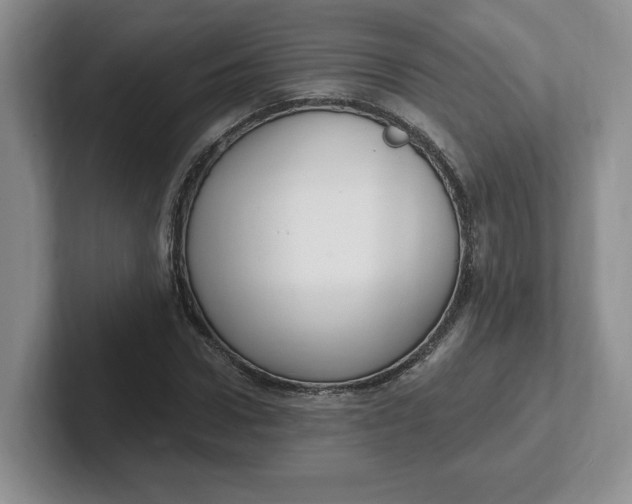 X0000102290922200808081520