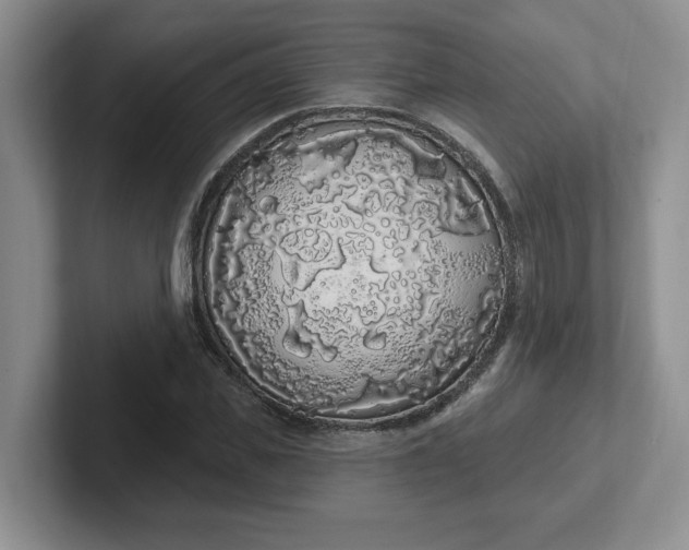 X0000102290925200808081520