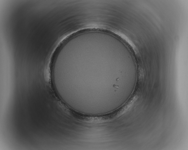 X0000102290927200808081520