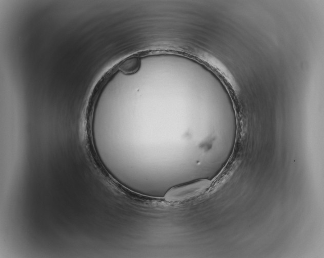 X0000102290928200808081520