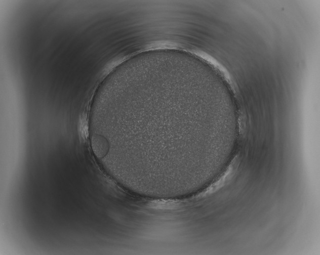 X0000102290929200808081520