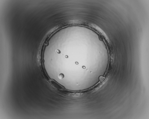 X0000102290930200808081520