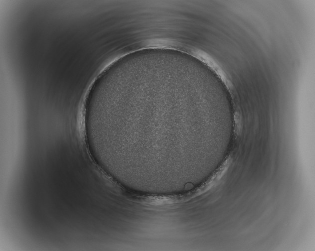 X0000102290931200808081520