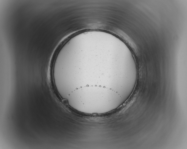 X0000102290932200808081520