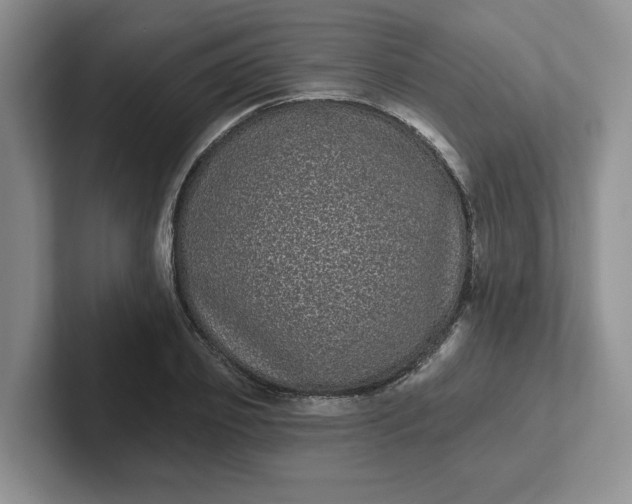 X0000102290933200808081520