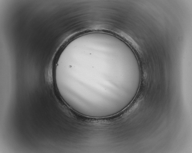 X0000102290934200808081520