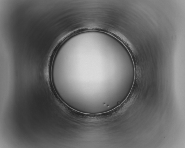 X0000102290935200808081520