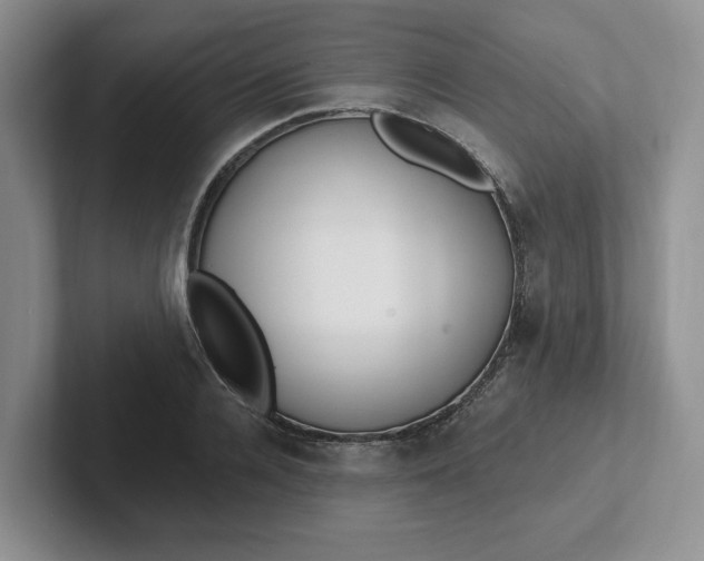 X0000102290936200808081520