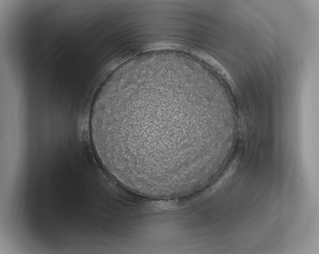 X0000102290937200808081520