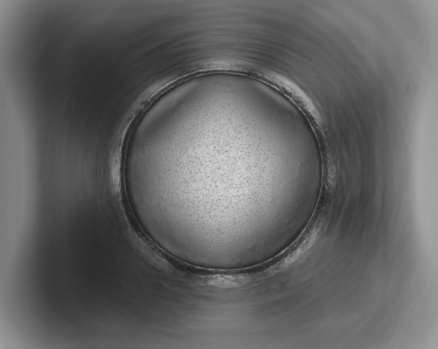 X0000102290938200808081520