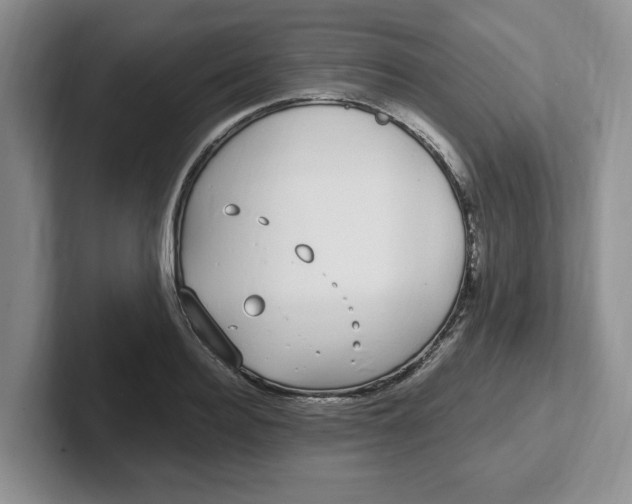 X0000102290940200808081520