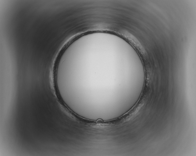 X0000102290942200808081520