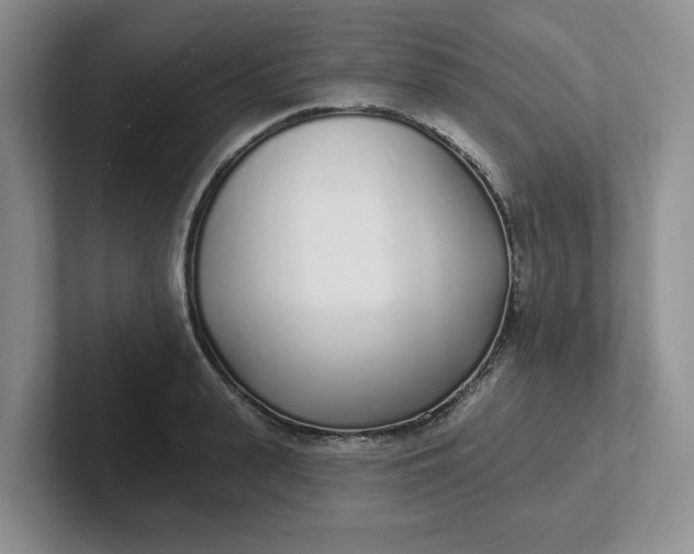 X0000102290943200808081520