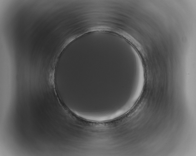 X0000102290945200808081520