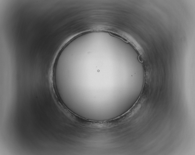 X0000102290948200808081520