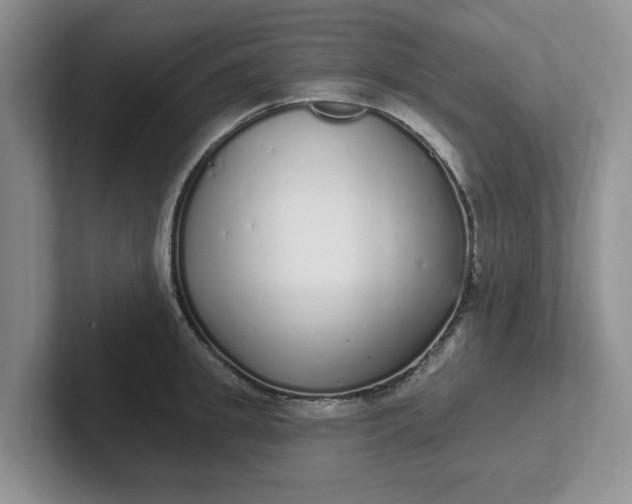 X0000102290949200808081520