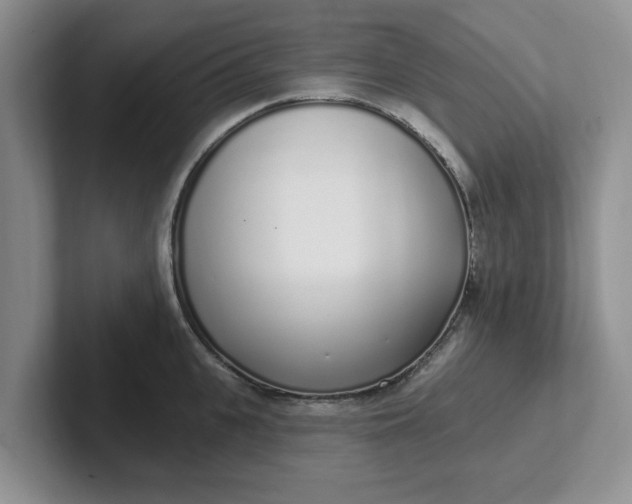 X0000102290951200808081520