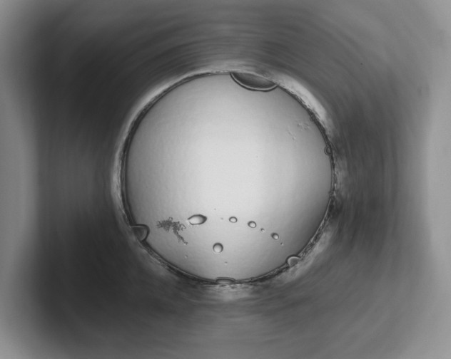 X0000102290952200808081520