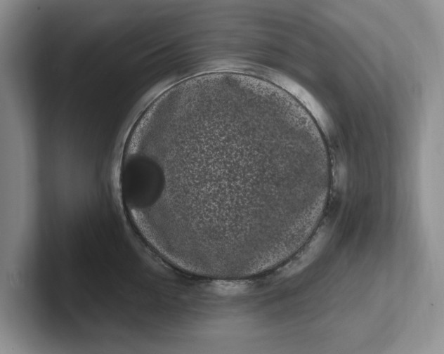 X0000102290954200808081520