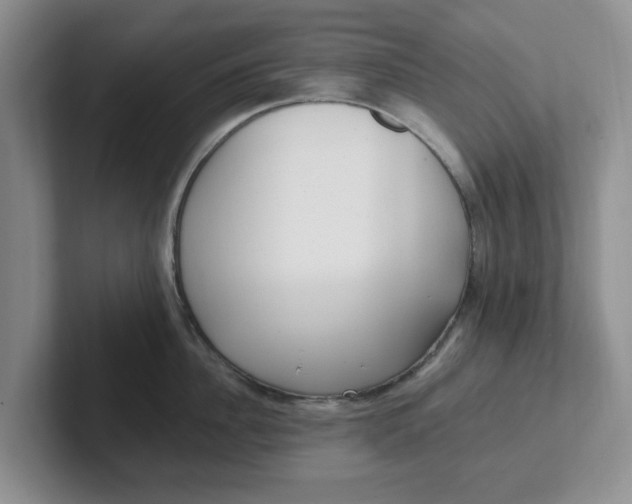 X0000102290956200808081520