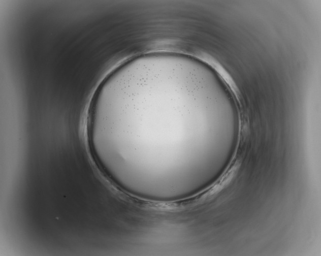 X0000102290957200808081520