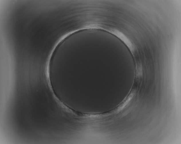 X0000102290958200808081520