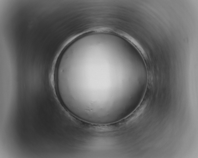 X0000102290959200808081520