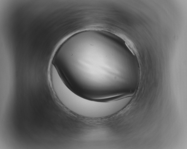 X0000102290960200808081520