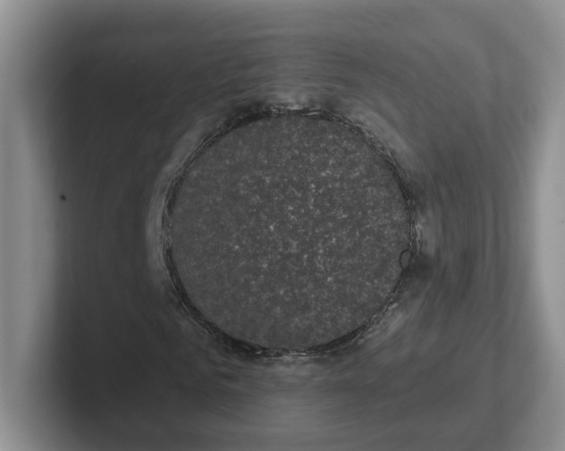 X0000102290961200808081519