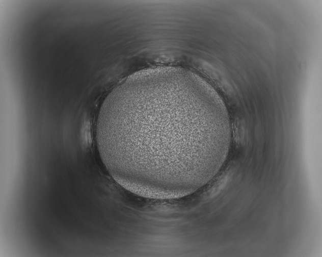 X0000102290962200808081519