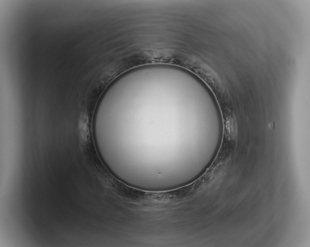 X0000102290963200808081519