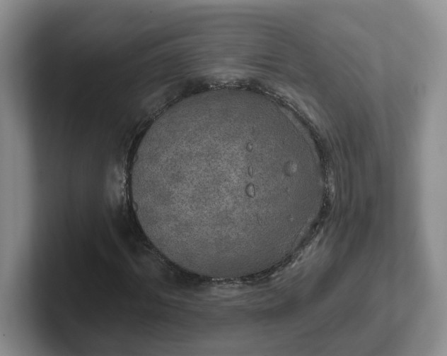 X0000102290964200808081519