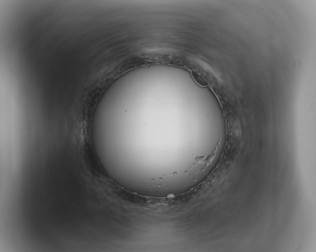 X0000102290965200808081519