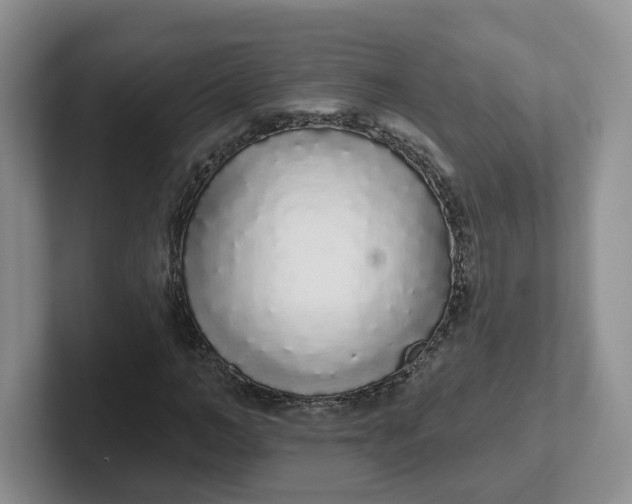 X0000102290966200808081519