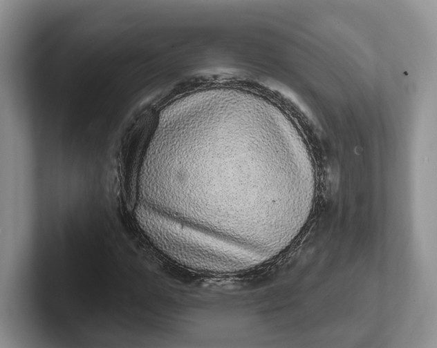 X0000102290967200808081519