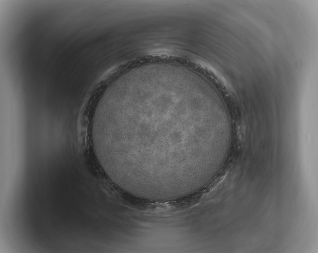 X0000102290968200808081519