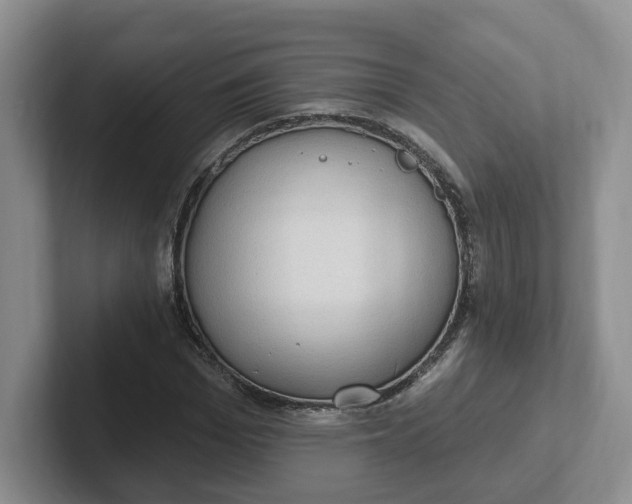 X0000102290969200808081519