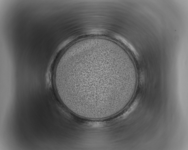 X0000102290970200808081519