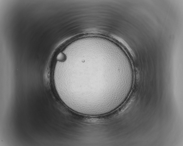 X0000102290971200808081519