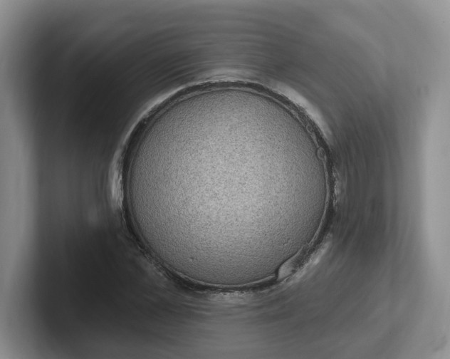 X0000102290973200808081519