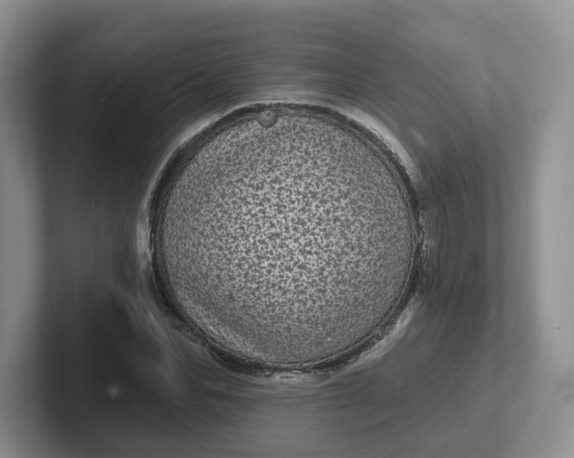 X0000102290974200808081519