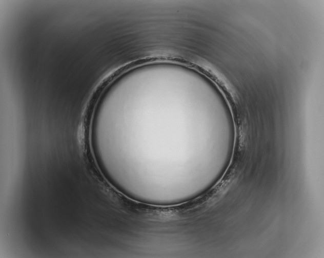 X0000102290975200808081519